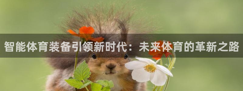 九球体育直播免费直播平台：智能体育装备引领新时代：未来体育的革新之路